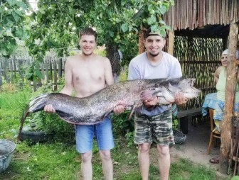 Slonim fisherman caught catfish in length of human height