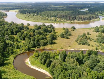 The project 'Grodno region: reserved world' in Lipichanskaya Pushcha: colonies of storks, dormouse mouse and pines on the dune