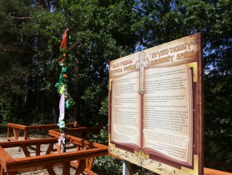 Липичанская пуща