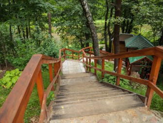 Липичанская пуща