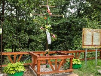 Липичанская пуща