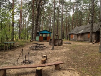 Липичанская пуща