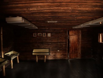 Липичанская пуща