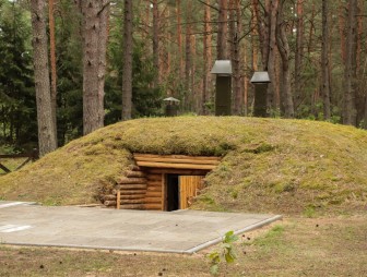 Липичанская пуща