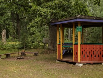 Липичанская пуща