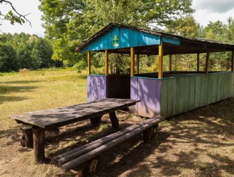 Липичанская пуща