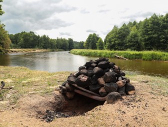 Липичанская пуща