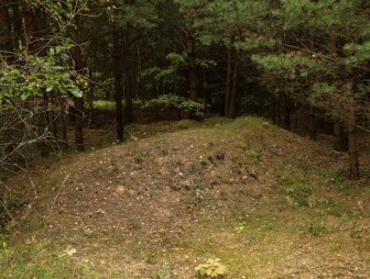 Липичанская пуща