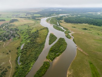 Липичанская пуща