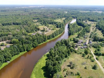 Липичанская пуща