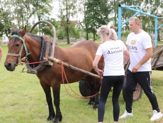 Властелин села 2022
