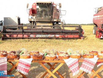 Дожинки-2022 в Гудевичах