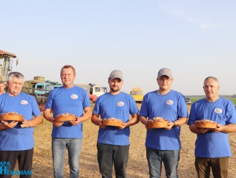 Дожинки-2022 в Гудевичах