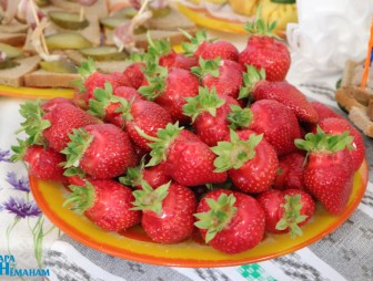 'Властелин села-2023'