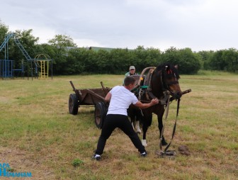 'Властелин села-2023'
