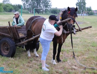 'Властелин села-2023'