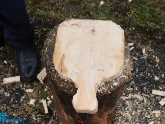 'Властелин села-2023'