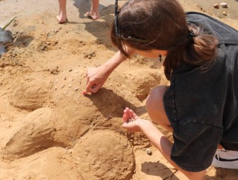 Арт-пикник-2023