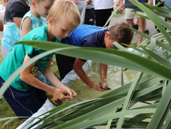 Арт-пикник-2023