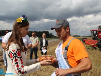 Тысячники ЗАО 'Гудевичи'