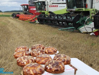 Тысячники ЗАО 'Гудевичи'