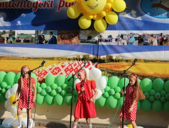 Дожинки-2023 в Гудевичах