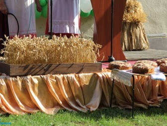 Дожинки-2023 в Гудевичах