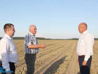 Новые рекорды уборочной кампании