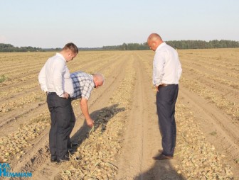 Новые рекорды уборочной кампании