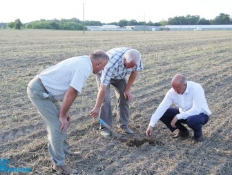 Новые рекорды уборочной кампании