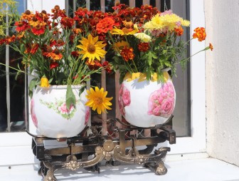 «Наш край – цветочный рай»