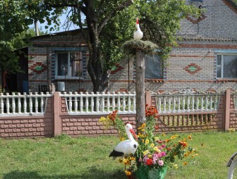 «Наш край – цветочный рай»