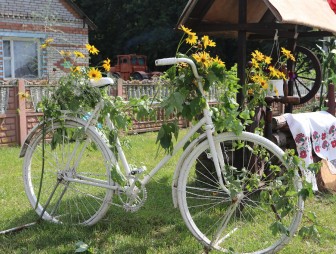 «Наш край – цветочный рай»