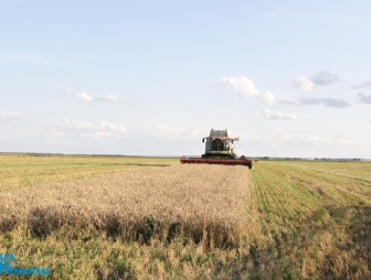 Обряд Дожинок КСУП «Имени Адама Мицкевича»
