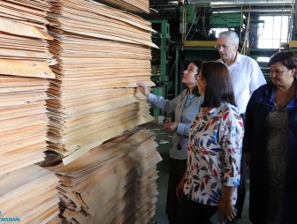 Мостовщина принимает гостей из Воронежской области