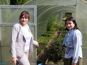 Мостовщина принимает гостей из Воронежской области