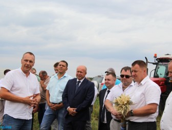 Дожинки в Дубно