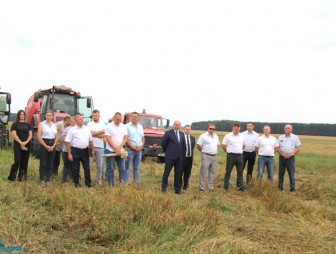 Дожинки в Дубно