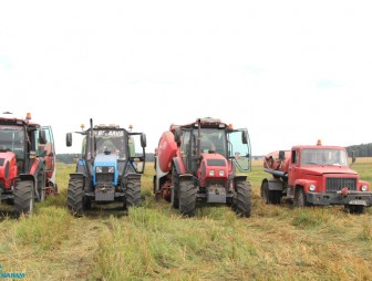 Дожинки в Дубно