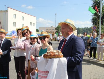 Подворки сельхозпредприятий