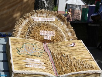 Подворки сельхозпредприятий