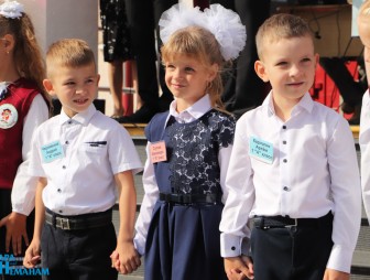 Линейка в Гимназии