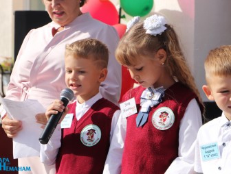 Линейка в Гимназии