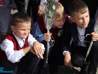 Линейка в Гимназии