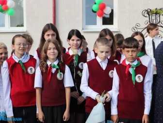 Линейка в Гимназии