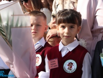 Линейка в Гимназии