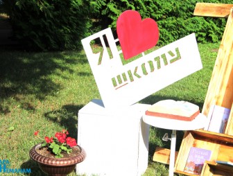 Линейка в Дубненской СШ