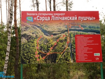 Встреча молодых специалистов с руководством Мостовского района