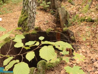Встреча молодых специалистов с руководством Мостовского района