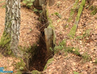 Встреча молодых специалистов с руководством Мостовского района